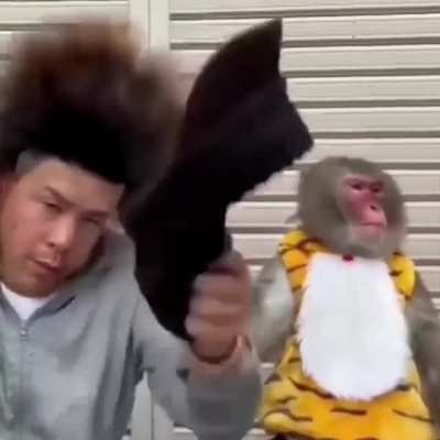 If you need a laugh..