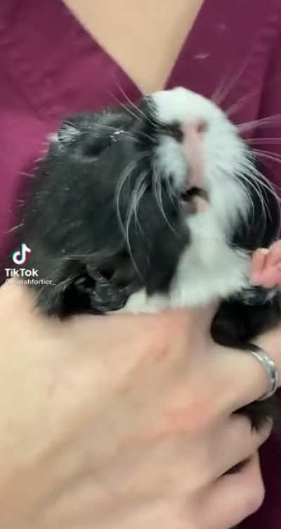 Oh no, he hates it