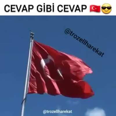 😎