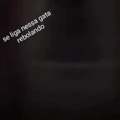 Olha essa gata dançando