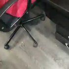 Находка у сына