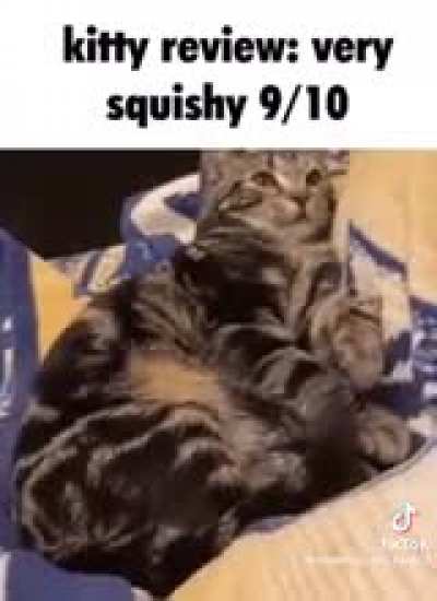 Cate 2: Electric Boogaloo