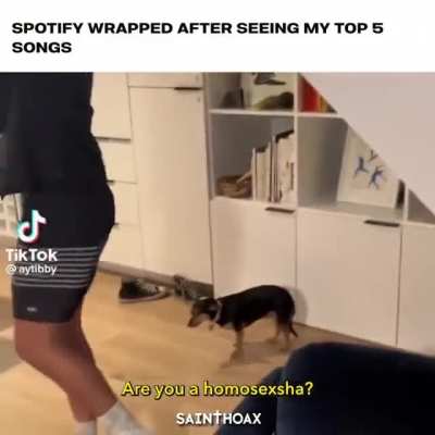 gay🐶😐irl