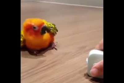 ERROR