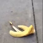 Why You NEED TO Laugh! At this Vine!