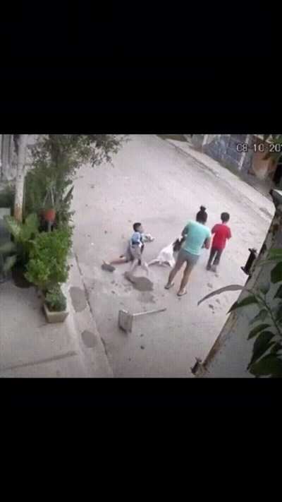 Shouldn’t have tried that