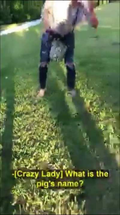 Lady has meltdown over a pig in the park