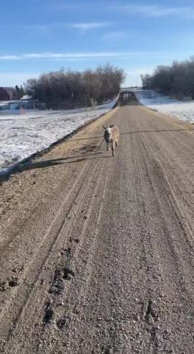 OH LAWD SHE COMIN
