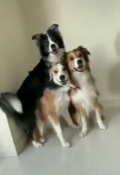 Group pic