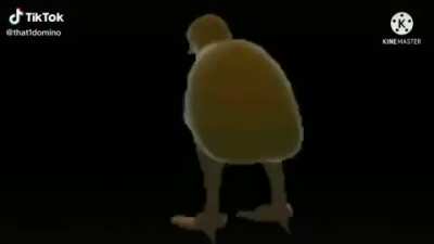 KIWI