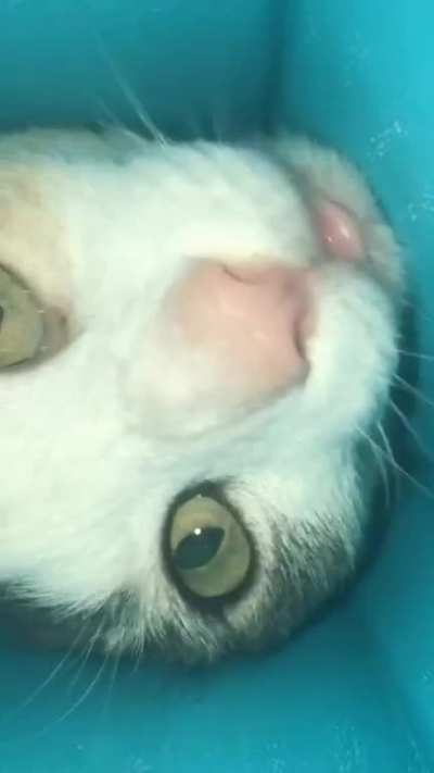 POV