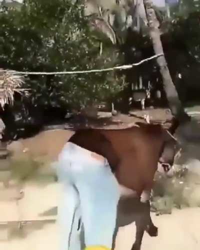 é