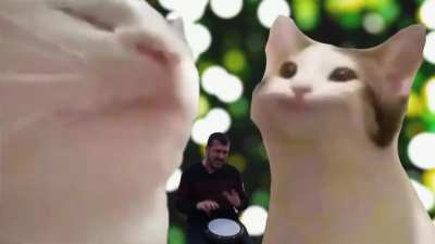 catJAM vs popCat