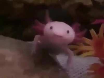 AAAAAAAA