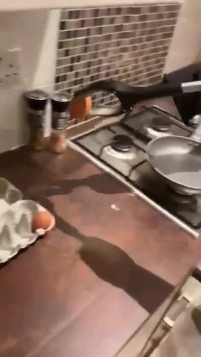 Pancake Doctor, Enslaver of the Hungry