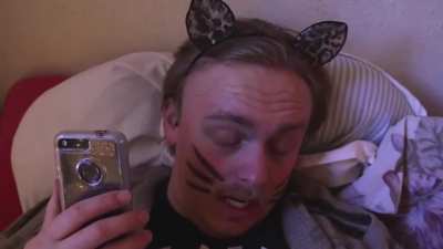 every cat at 3 am