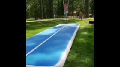 Jumping shrimp