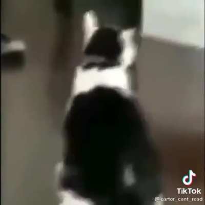 Yes