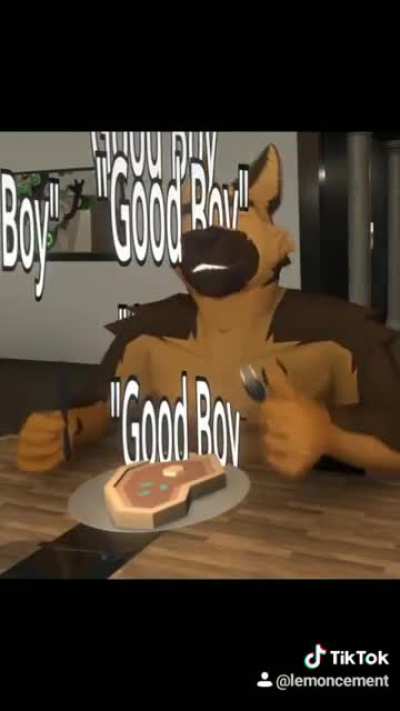 furry_irl