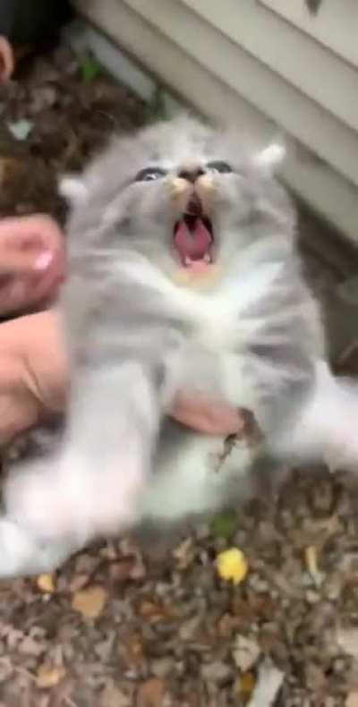 He's not happy