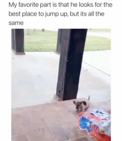 Go little rockstar!