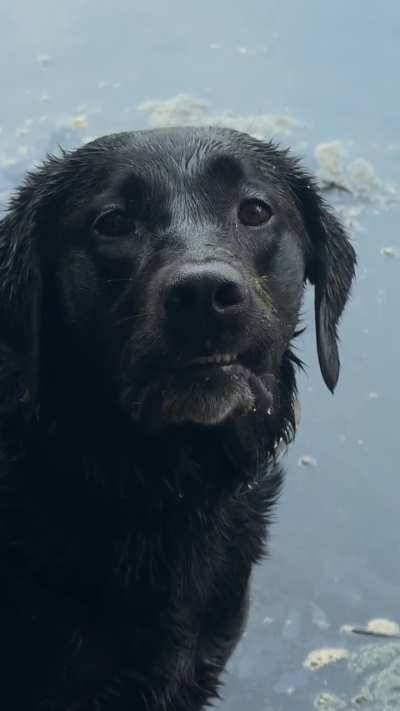 Swamp Girl. Show me your water dogs. 😊