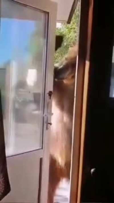 Opening a door
