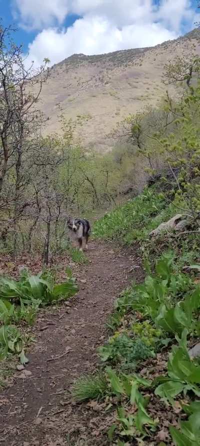 Trotting along 😊 🌳 🌷