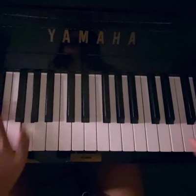 When Fur Elise goes trap...