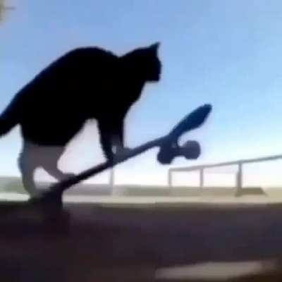 rule