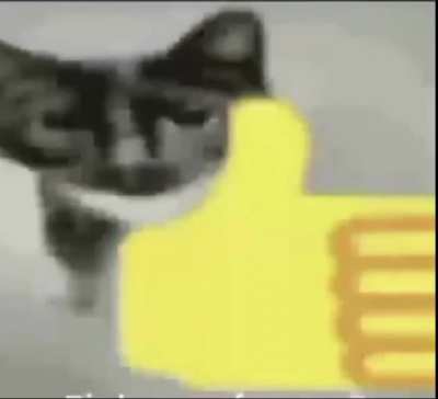 Pussy man