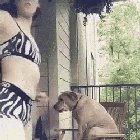 🐕...nice Doggy🙄