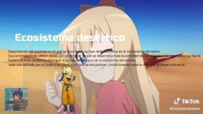 Porque la profe no acepto el trabajo?