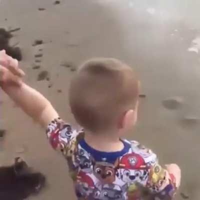 Bubba’s First Beach Trip