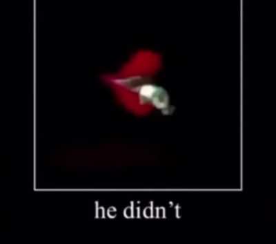 He didnt 😔