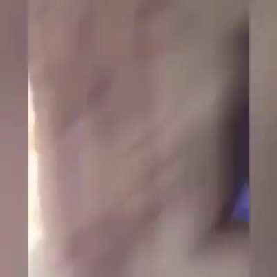 gritos perfeitamente cortados (divirtão-se)