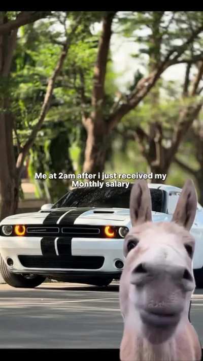 Anyone else? 😂