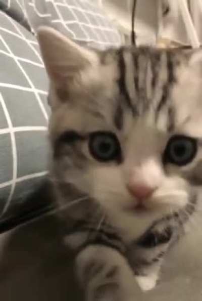 O_O