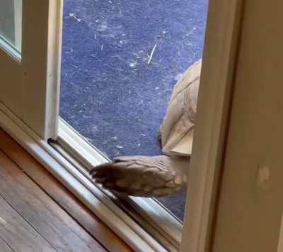 MFer opening doors like he payin the mortgage