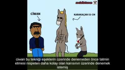 karakaçan 53 cm