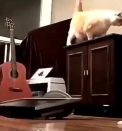 Timber!