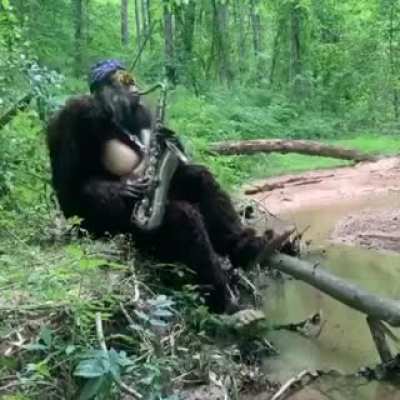 King kong dps do filme