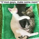 Make some room