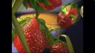 Fruit