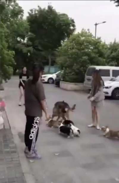 Да что же это такое!
