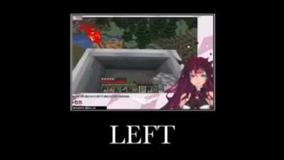 Look left IRyS!