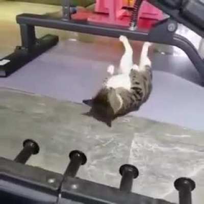 What’s your excuse?