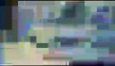 sponge