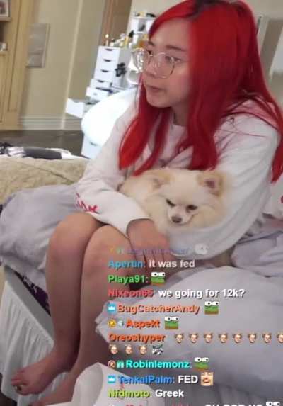 Lily's Legs 😋