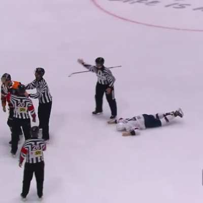 An Absolutely Devastating KO Punch from the Slovak Extraliga